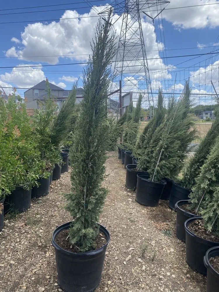 Affordable landscape design for residential properties in San Antonio, TX by Texas Oaks landscaping