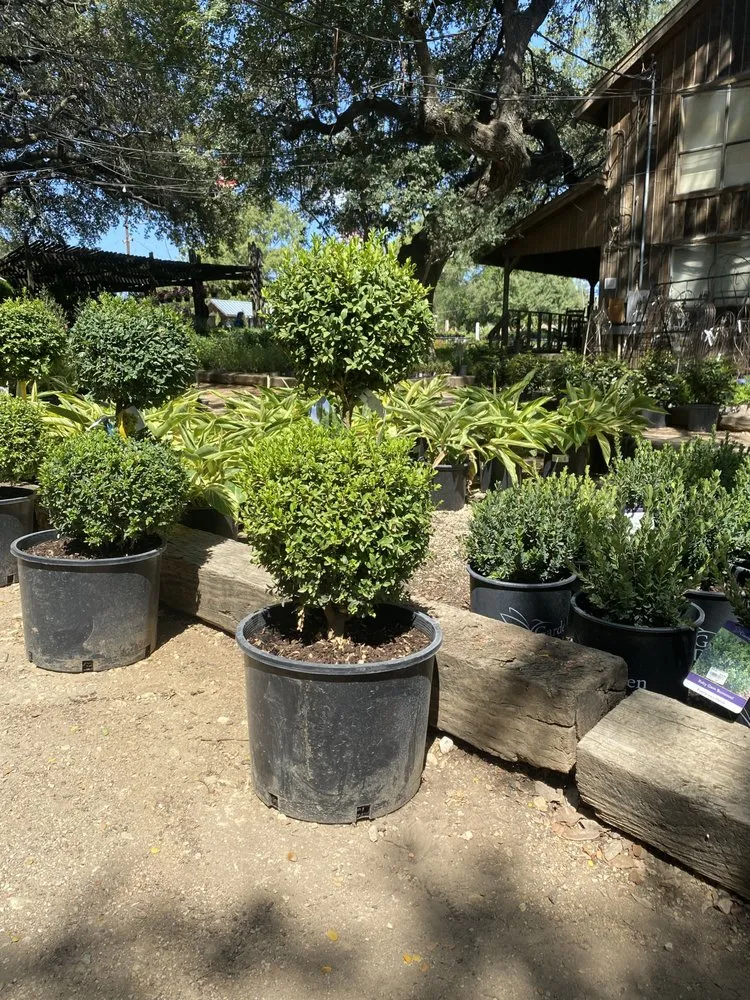 Affordable residential landscaping in San Antonio, TX by Texas Oaks landscaping