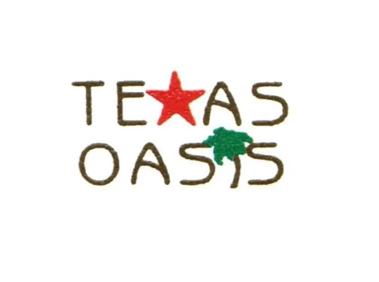 Trusted yard cleanup service in Dallas, TX by Texas Oasis
