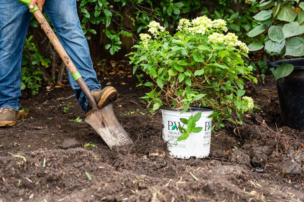 Reliable residential landscaping near you in Dallas, TX by Texas Oasis