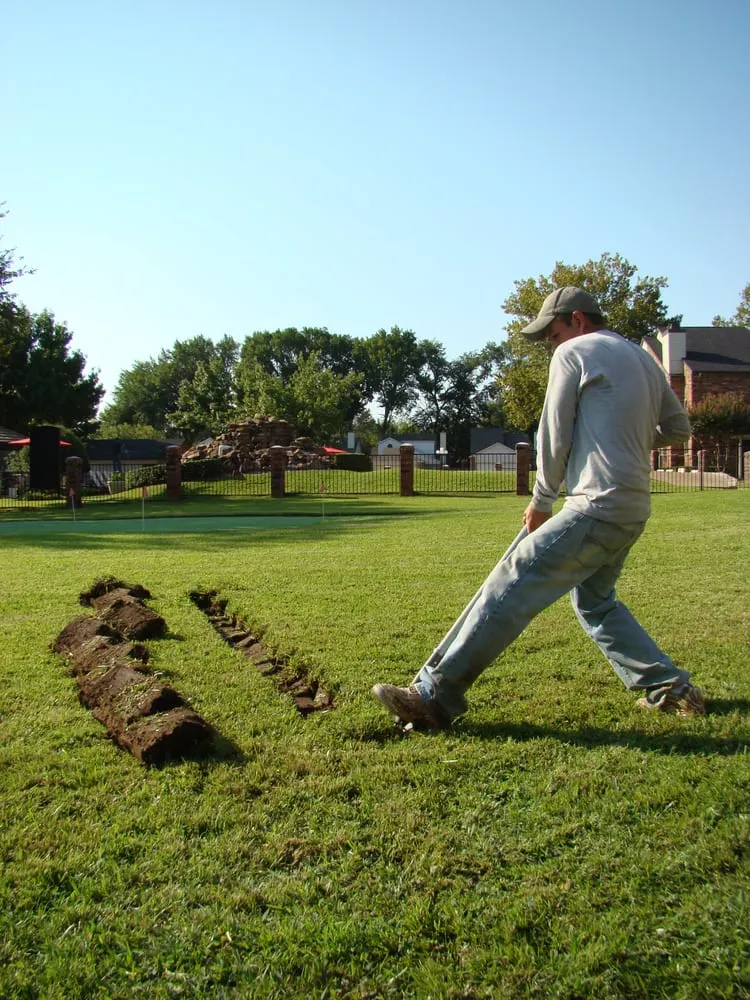 Top-rated yard cleanup service experts serving Dallas, TX - Texas Oasis