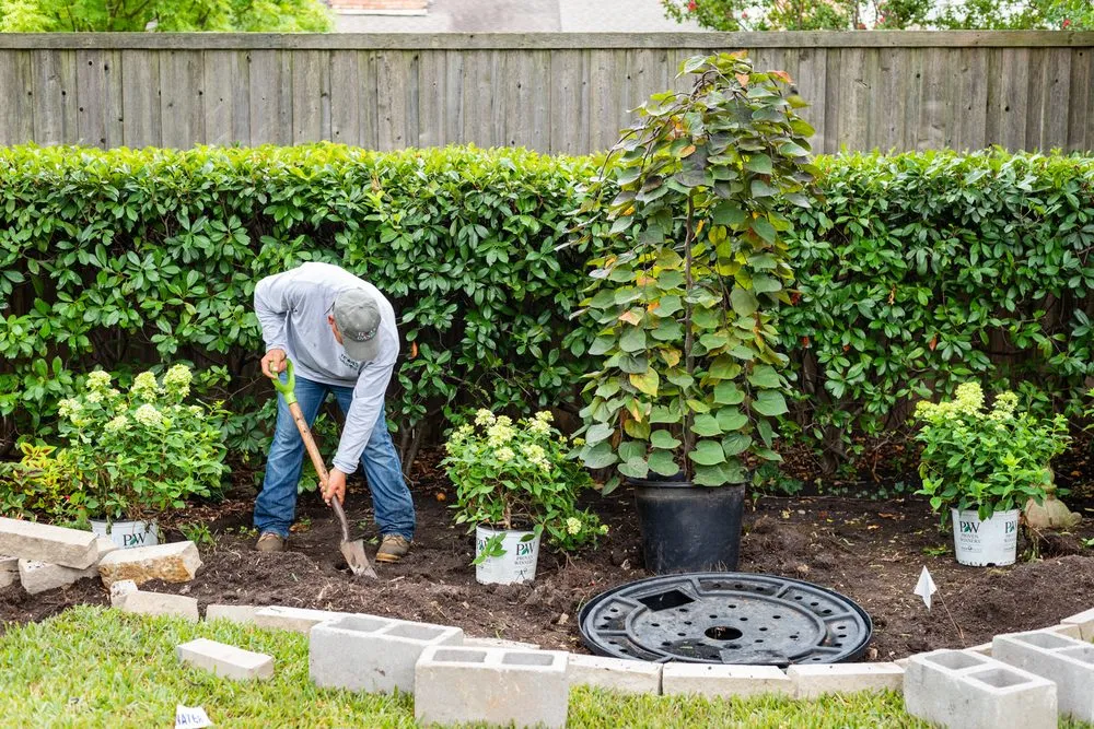 Professional landscape installation for residential properties across Dallas, TX - Texas Oasis