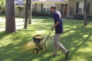 Trusted yard maintenance for residential properties in Arlington, TX by Texas Organic Lawn Care