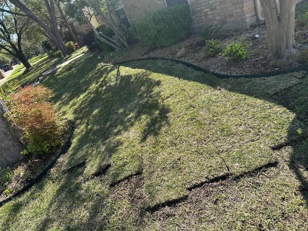 Affordable outdoor landscaping with custom design in Dallas, TX by Texas Outdoor Landscaping