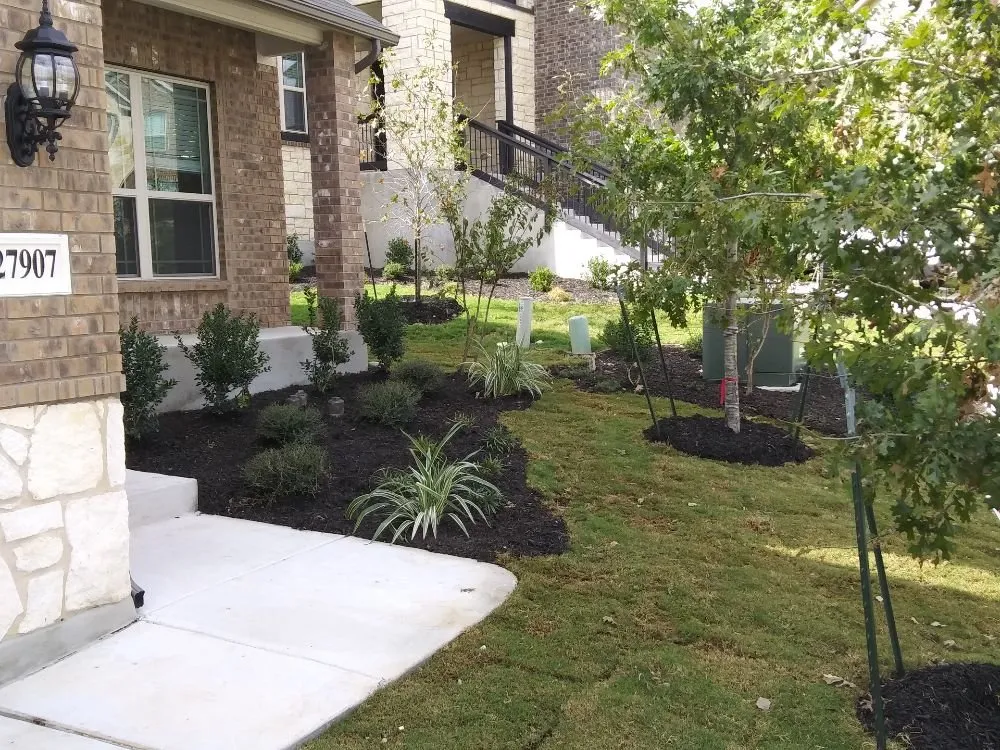 Top-rated landscape design near you in San Antonio, TX by Texas Outdoor Living