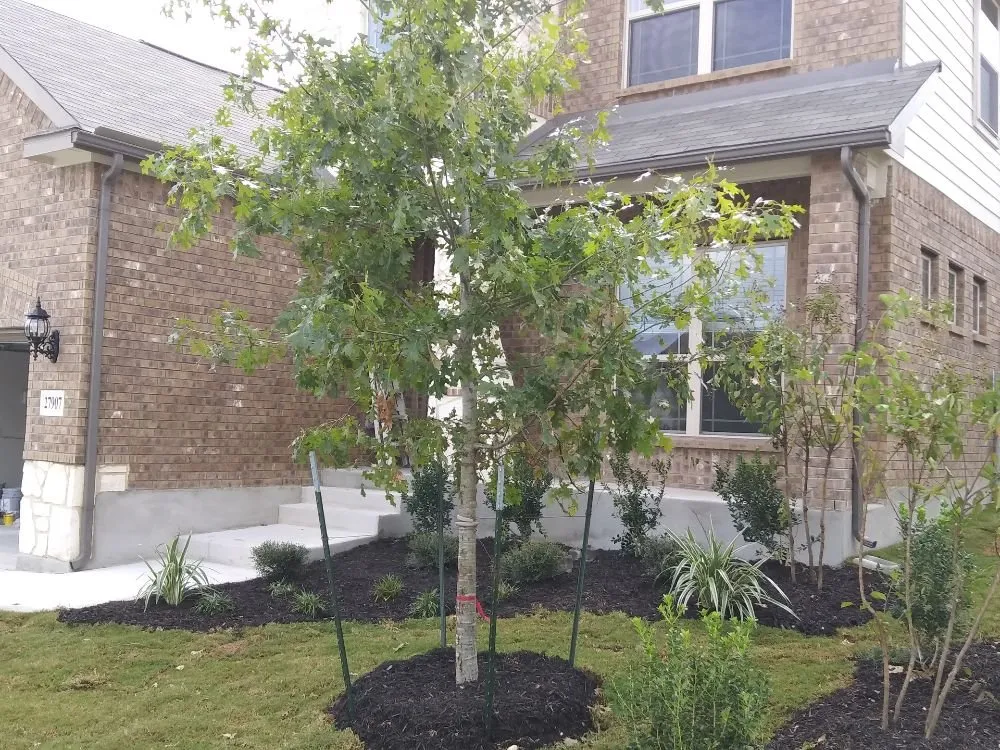 Trusted landscaping services experts serving San Antonio, TX - Texas Outdoor Living