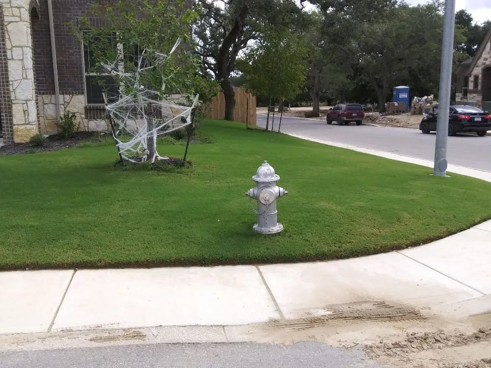 Custom outdoor landscaping for beautiful yards across San Antonio, TX - Texas Outdoor Living