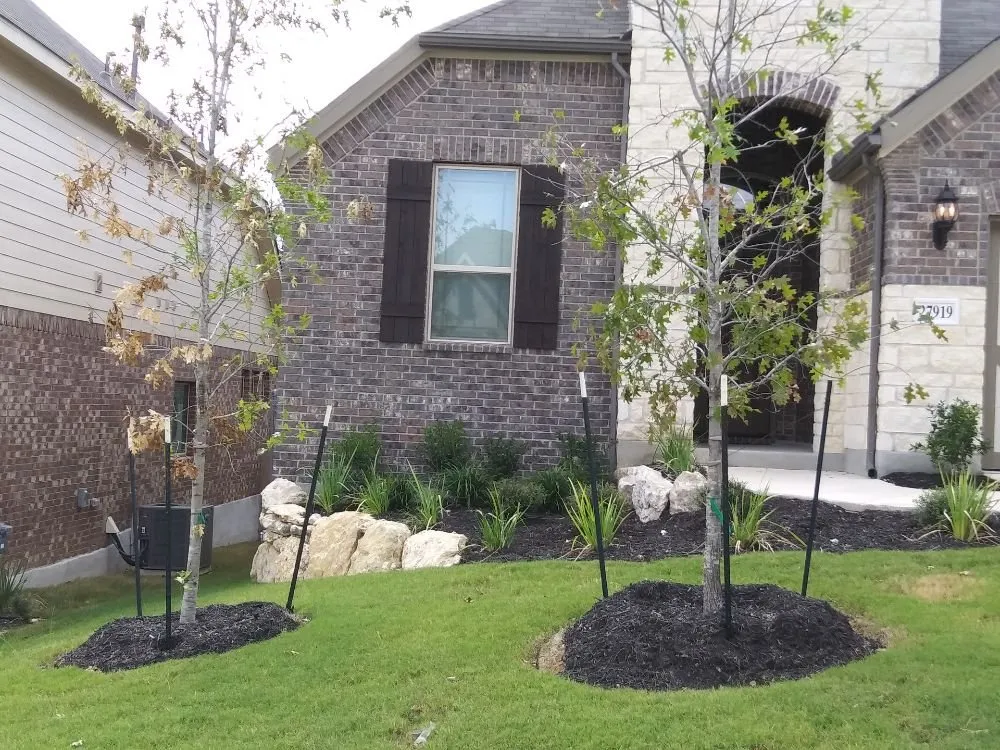 Reliable lawn care service experts serving San Antonio, TX - Texas Outdoor Living