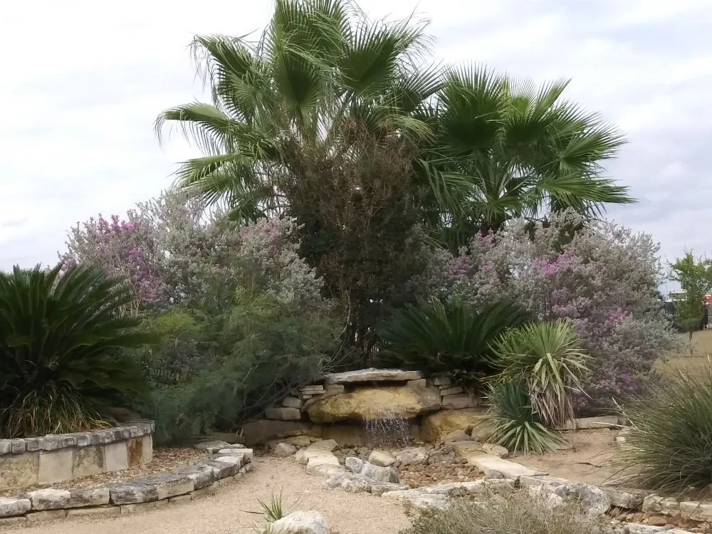 Expert garden landscaping with custom design in San Antonio, TX by Texas Outdoor Living