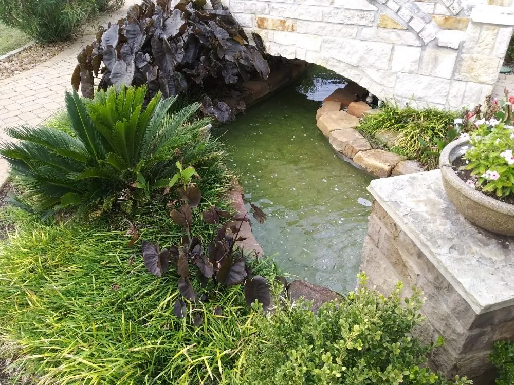 Custom landscape installation for year-round maintenance across San Antonio, TX - Texas Outdoor Living