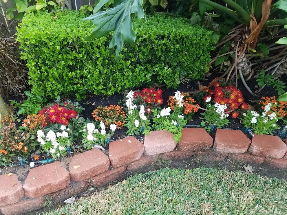 Affordable landscaping services experts serving Katy, TX - Texas Outdoor Services