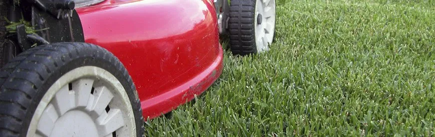 Custom outdoor landscaping near you in Katy, TX by Texas Outdoor Services