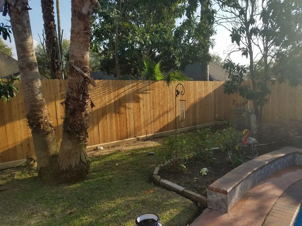 Affordable yard cleanup service for year-round maintenance in Katy, TX by Texas Outdoor Services