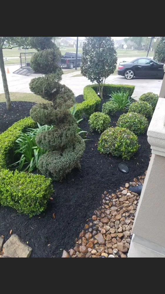 Expert lawn mowing service in Katy, TX - Texas Outdoor Services