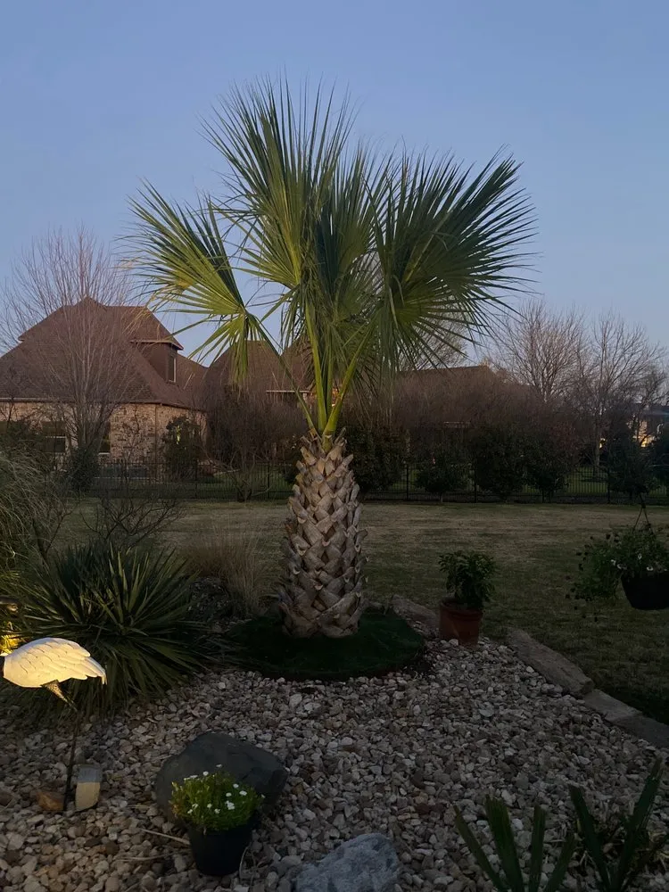 Custom garden landscaping experts serving Dallas, TX - Texas Palm Trees and Irrigation