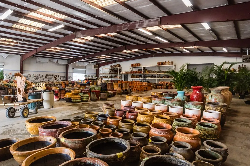 Professional lawn care service with custom design across Dallas, TX - Texas Palm Trees and Irrigation