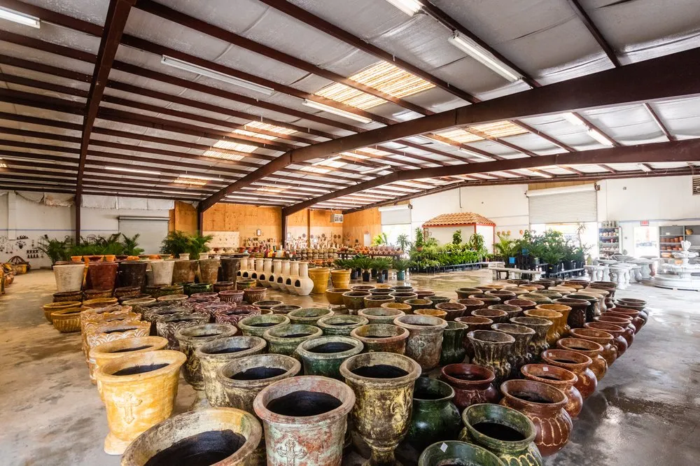 Reliable landscape design for homes across Dallas, TX - Texas Palm Trees and Irrigation