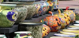 Top-rated outdoor landscaping for outdoor upgrades across Dallas, TX - Texas Palm Trees and Irrigation