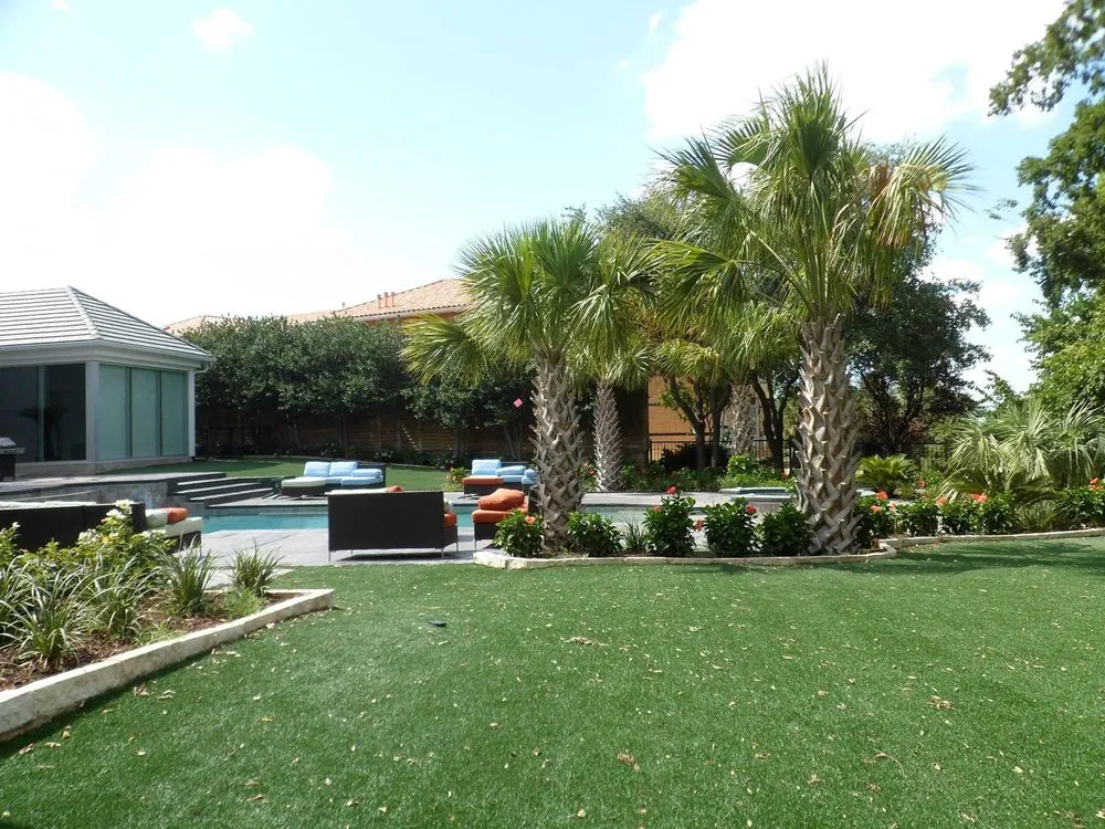 Trusted yard cleanup service experts serving Dallas, TX - Texas Palm Trees and Irrigation