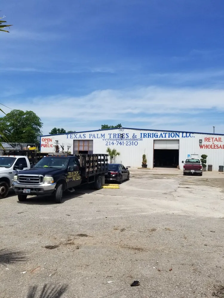 Local lawn mowing service for year-round maintenance in Dallas, TX by Texas Palm Trees and Irrigation