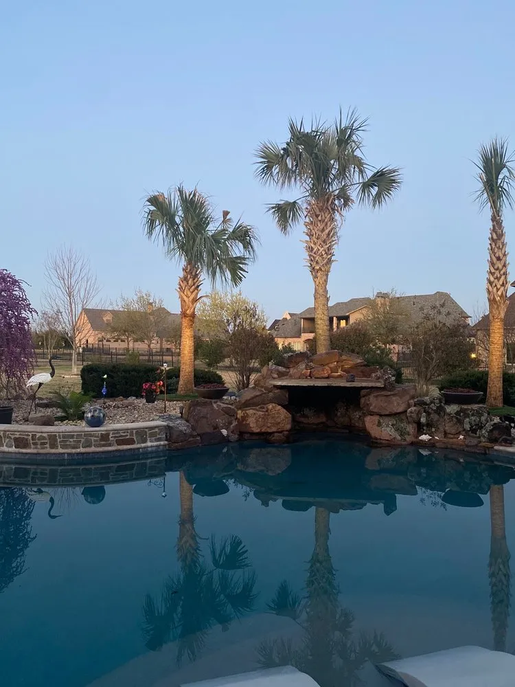 Custom lawn care service for homes across Dallas, TX - Texas Palm Trees and Irrigation