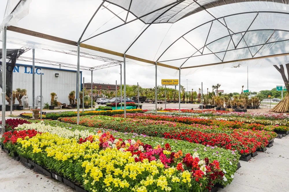 Affordable garden landscaping for residential properties in Dallas, TX by Texas Palm Trees and Irrigation