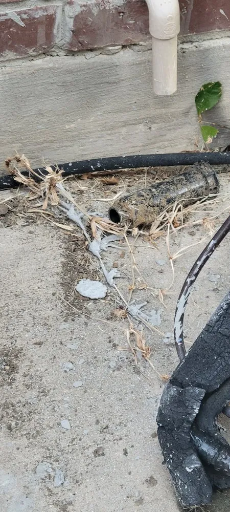 Top-rated garden landscaping in Prosper, TX - Texas Patio and Stone