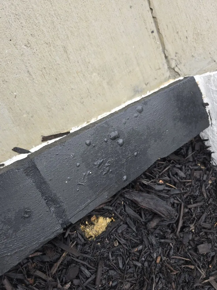 Reliable yard maintenance in Prosper, TX - Texas Patio and Stone