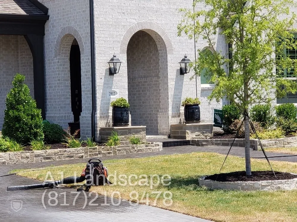 Expert yard maintenance in Prosper, TX - Texas Patio and Stone