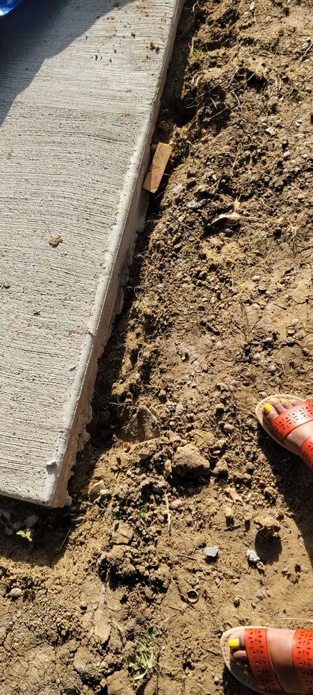 Affordable landscaping services in Prosper, TX by Texas Patio and Stone