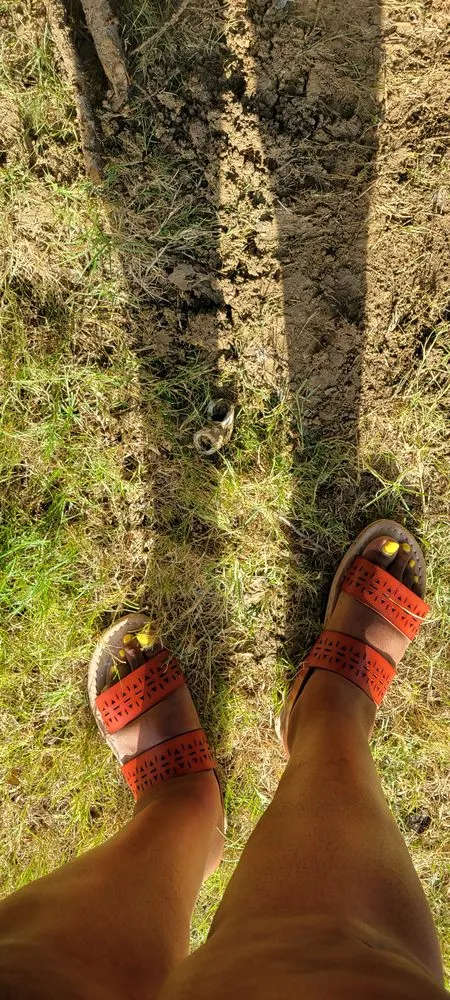 Professional yard maintenance in Prosper, TX by Texas Patio and Stone