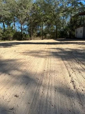 Professional yard cleanup service in College Station, TX by Texas Platinum Solutions