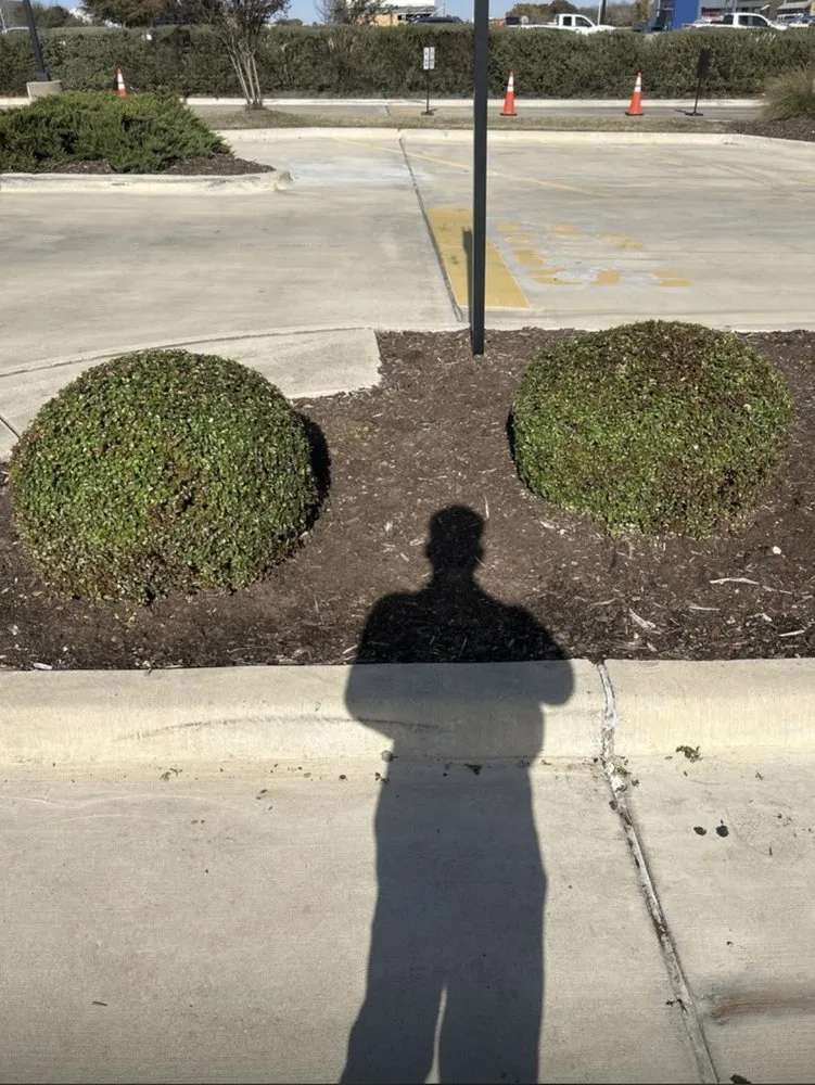 Top-rated garden landscaping for outdoor upgrades across Providence Village, TX - Texas Premier Landscaping