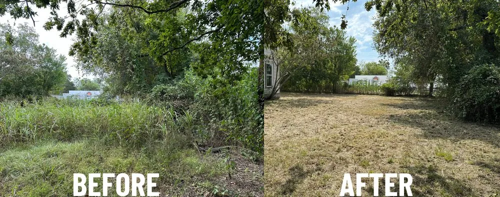 Professional lawn care service experts serving Livingston, TX - Texas Premier Lawn Care