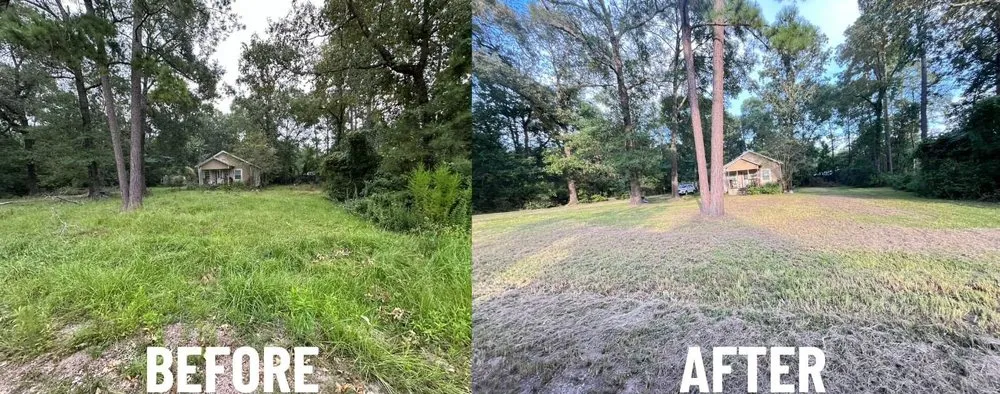 Local landscaping services for homes across Livingston, TX - Texas Premier Lawn Care