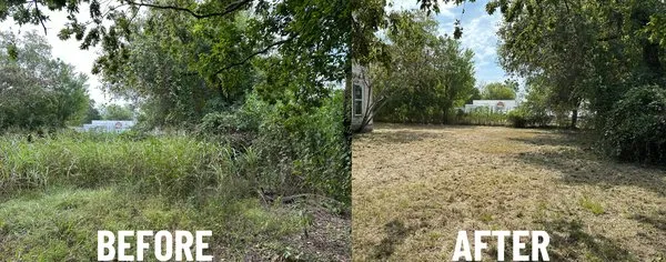 Texas Premier Lawn Care Logo