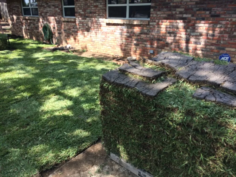 Expert landscape design near you in Plano, TX by Texas Pride Landscapes & Irrigation