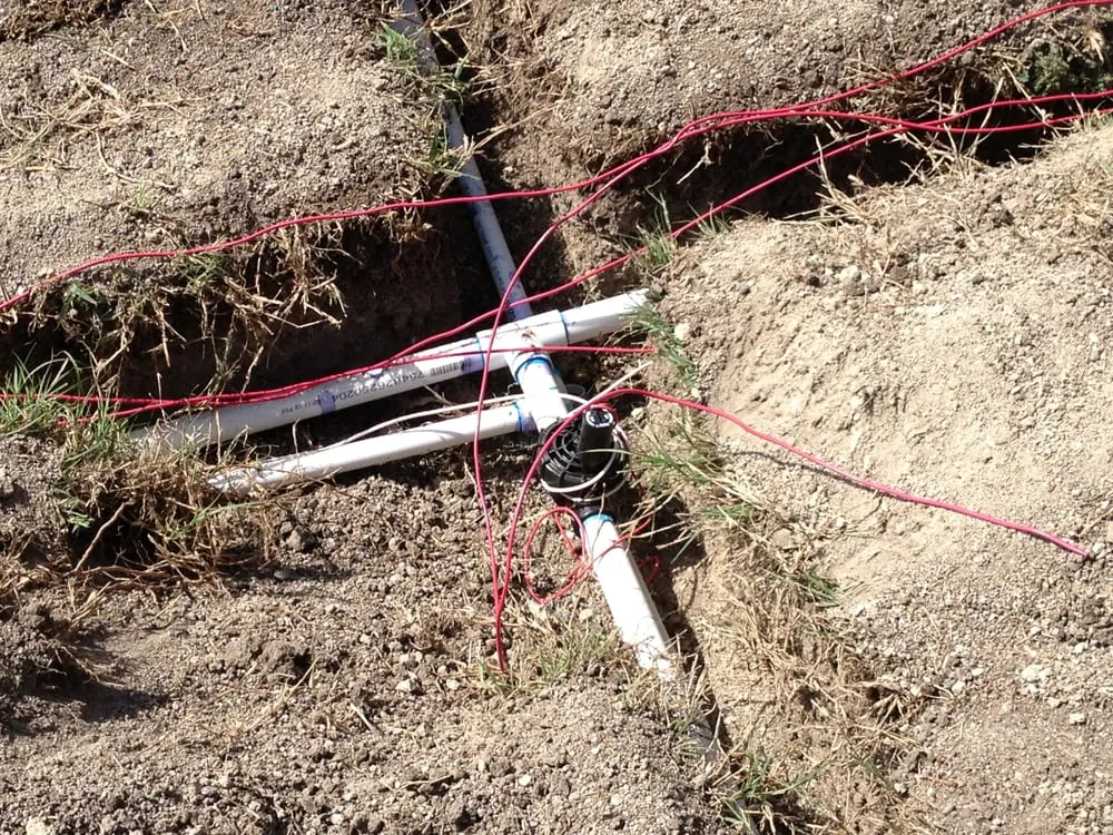 Affordable yard cleanup service for year-round maintenance across Plano, TX - Texas Pride Landscapes & Irrigation