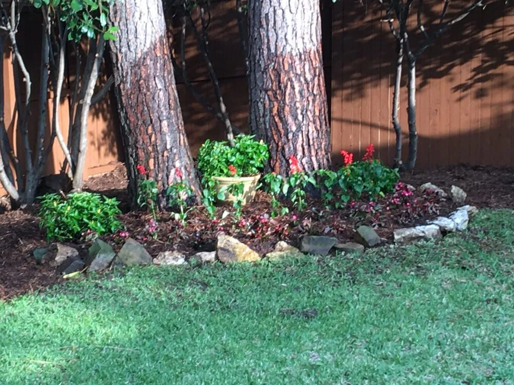 Expert garden landscaping experts serving Plano, TX - Texas Pride Landscapes & Irrigation