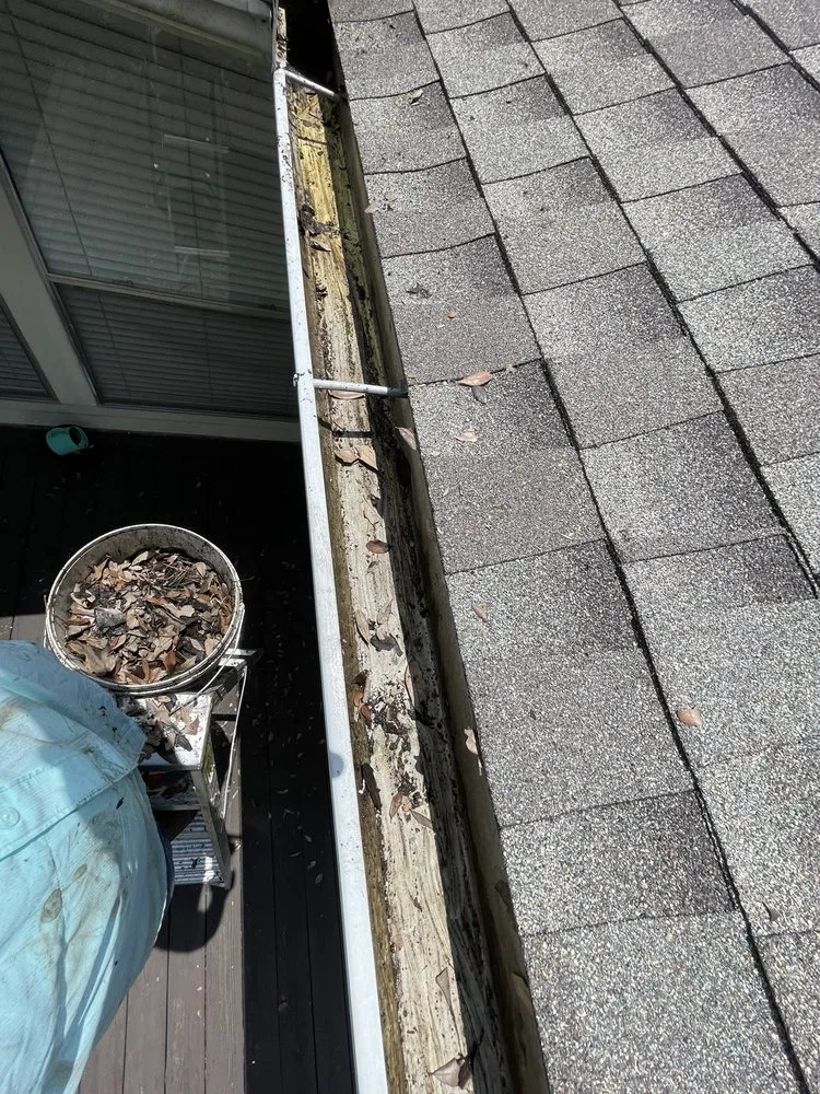 Reliable landscape design for beautiful yards in Jersey Village, TX by Texas Prime Solutions