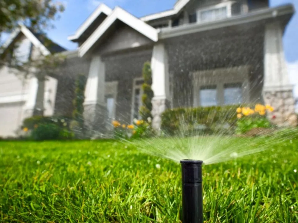 Trusted lawn care service in Willis, TX - Texas Professional Sprinkler Repair