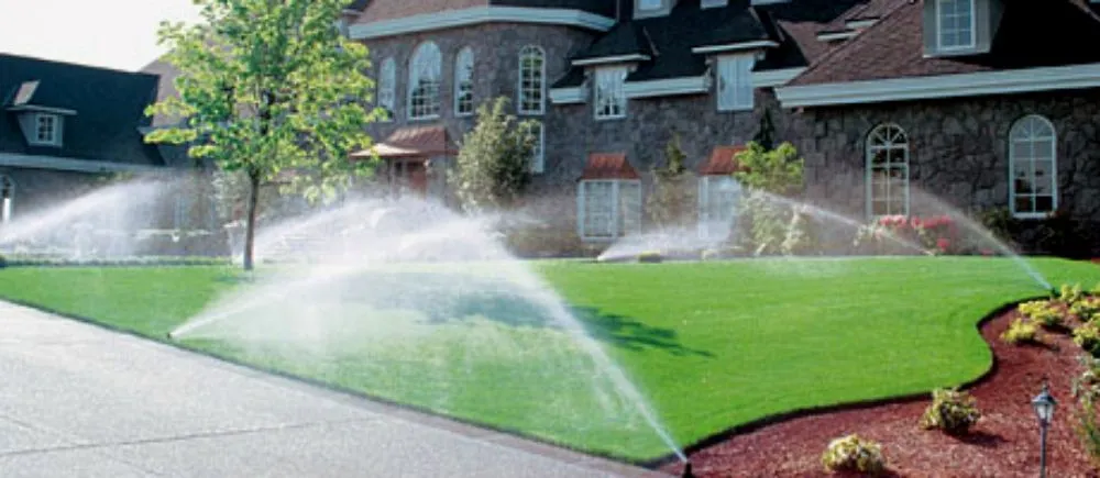 Expert yard cleanup service in Willis, TX by Texas Professional Sprinkler Repair
