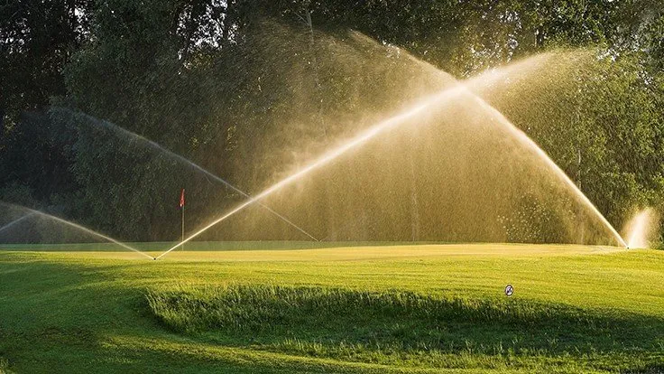 Expert garden landscaping for year-round maintenance across Willis, TX - Texas Professional Sprinkler Repair