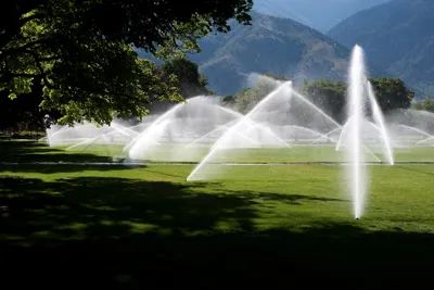 Custom outdoor landscaping in Willis, TX by Texas Professional Sprinkler Repair
