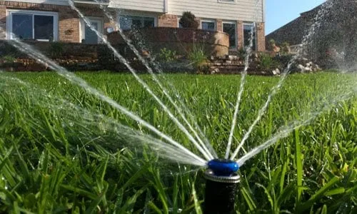 Local landscaping services experts serving Austin, TX - Texas Rain Irrigation