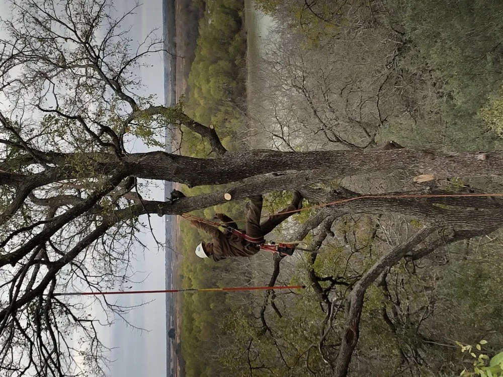 Professional landscaping services for residential properties across Beverly Hills, TX - Texas Rainbow Tree Service