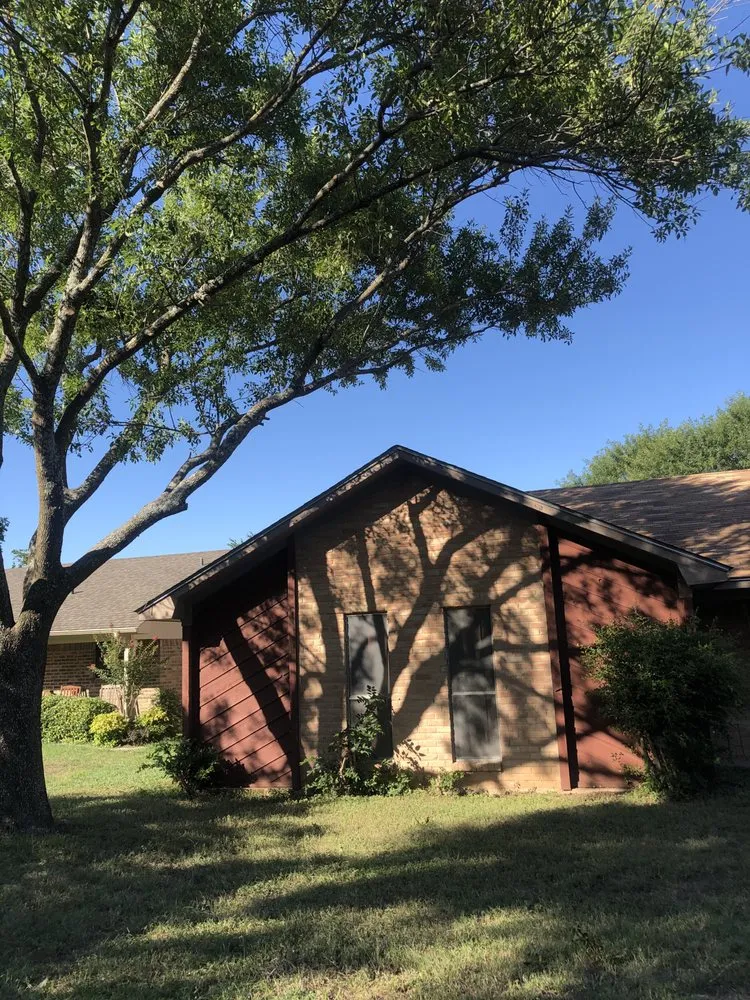 Professional lawn mowing service in Beverly Hills, TX - Texas Rainbow Tree Service