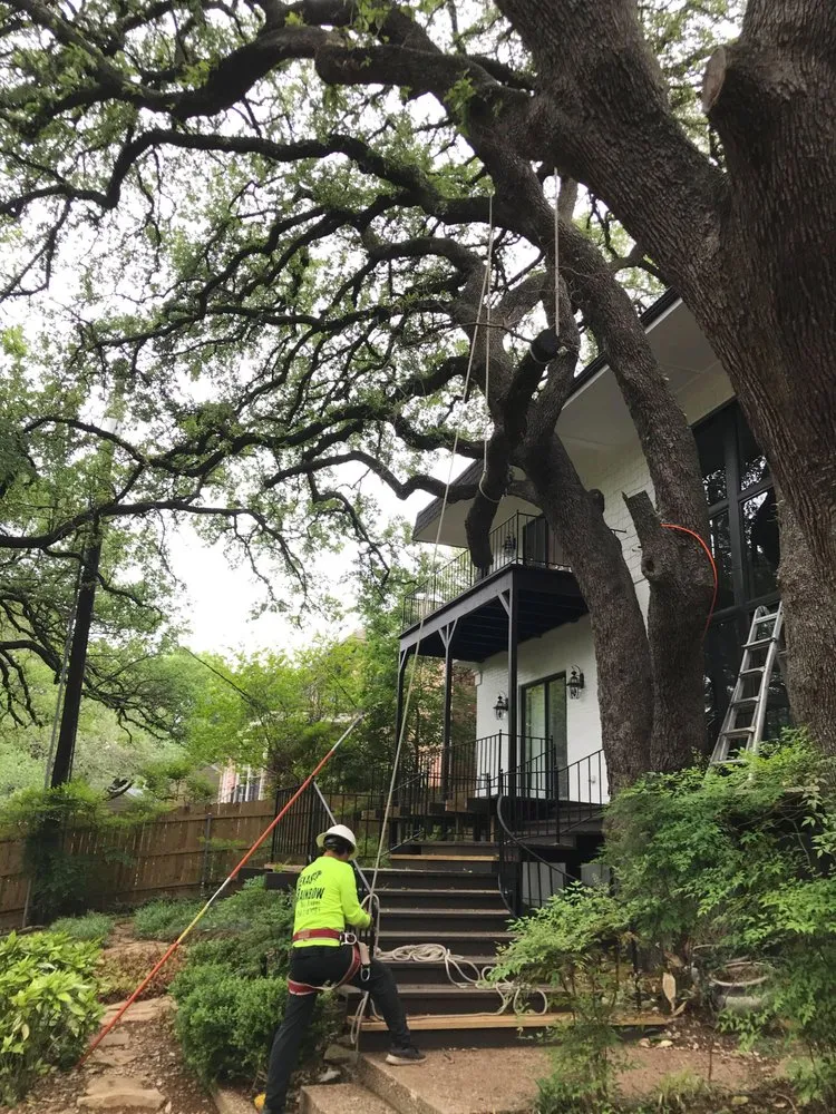 Professional residential landscaping for residential properties across Beverly Hills, TX - Texas Rainbow Tree Service