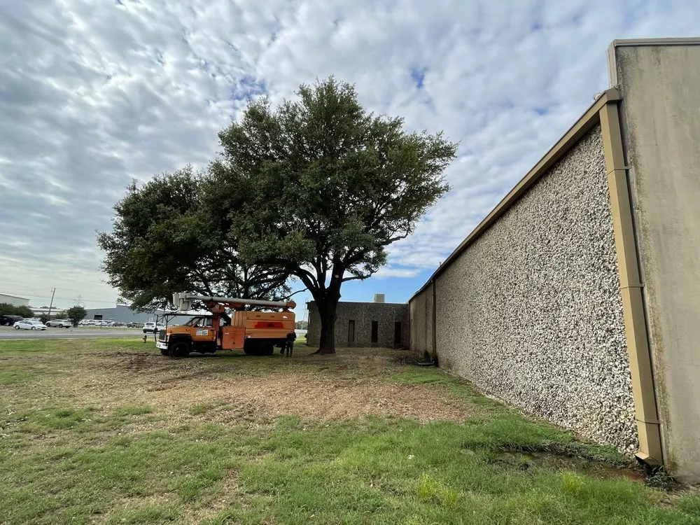 Expert garden landscaping in Beverly Hills, TX - Texas Rainbow Tree Service