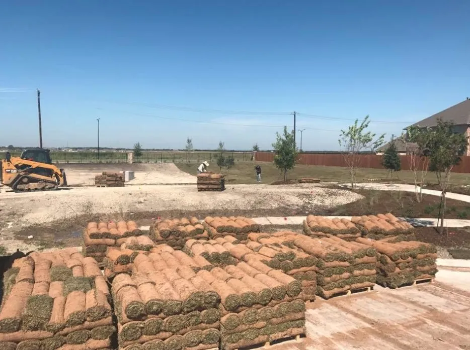 Expert outdoor landscaping for year-round maintenance across Little Elm, TX - Texas Rainman